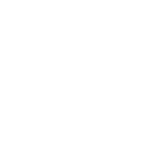 Linked-in icon